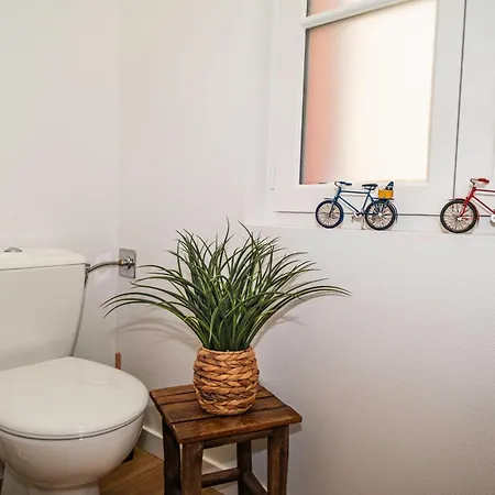 Le Cathe Loft - Climatise - Proche Cathedrale Apartman